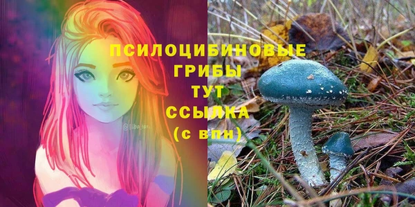 круглые Алексин