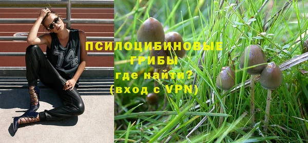 круглые Алзамай
