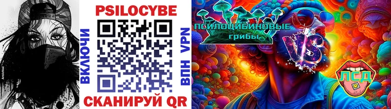 Галлюциногенные грибы Psilocybine cubensis  Александровское 